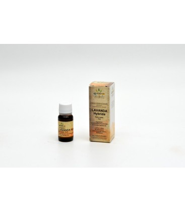 OLIO ESSENZIALE LAVANDA HYBRIDA 12 ML
