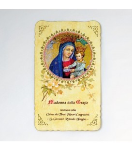 Immagine Standard con Madonna