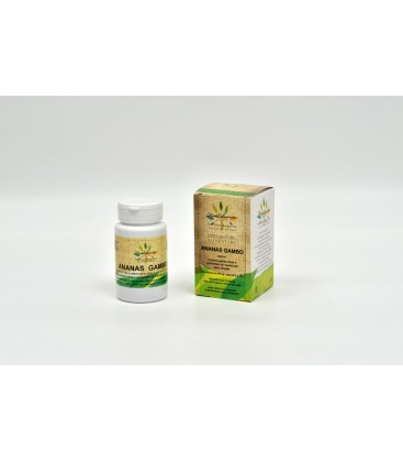 ANANAS GAMBO OPERCOLI